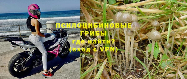 бошки Балахна