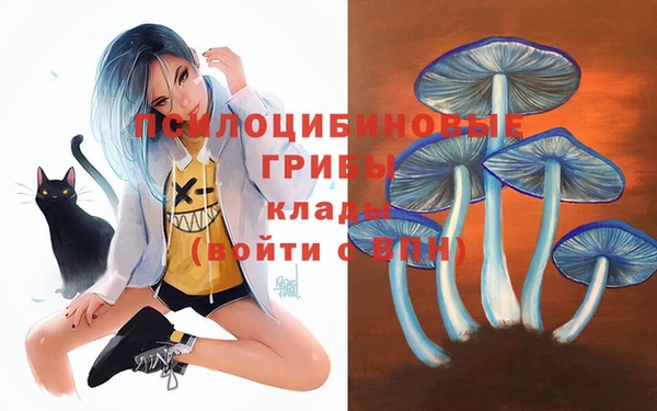 бошки Балахна
