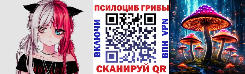 цена   Вязьма  Псилоцибиновые грибы Psilocybe 
